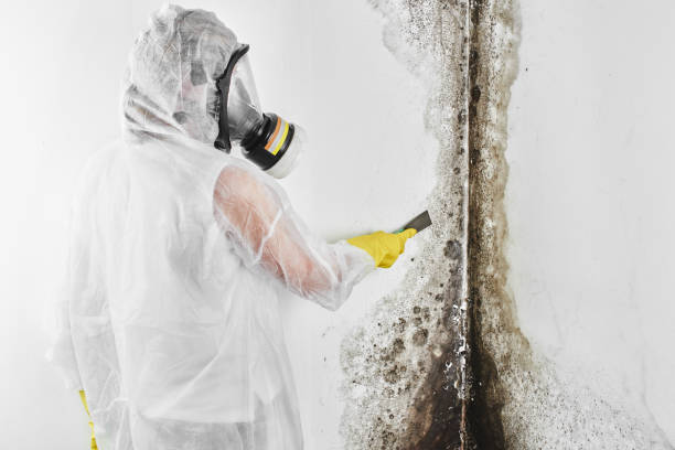Best Mold Remediation for Schools in Beverly, NJ