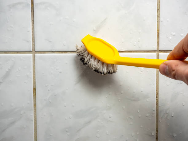 Best Preventive Mold Services in Beverly, NJ