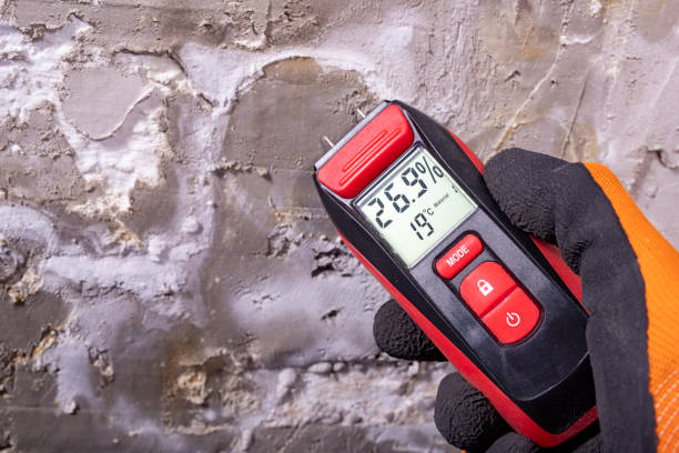 Best Emergency Mold Remediation in Beverly, NJ